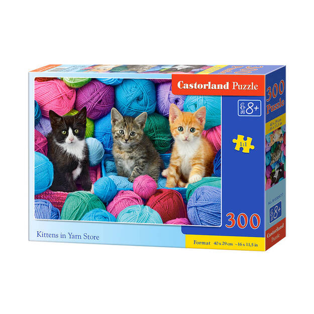 Castorland Kittens in Yar Store Puzzle, 300 tükki