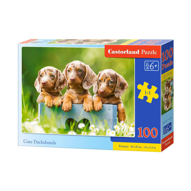Castorland Cute Dachshundid Puzzle, 100 tükki