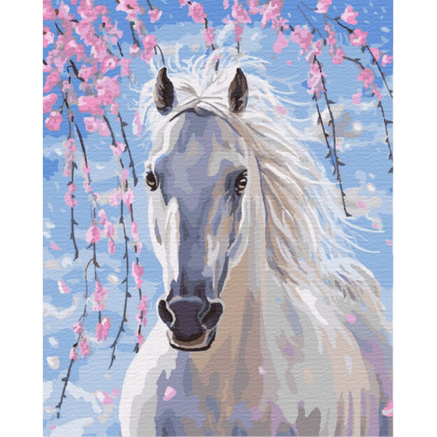 Maal numbrite järgi, Valge hobune, 40x50 cm