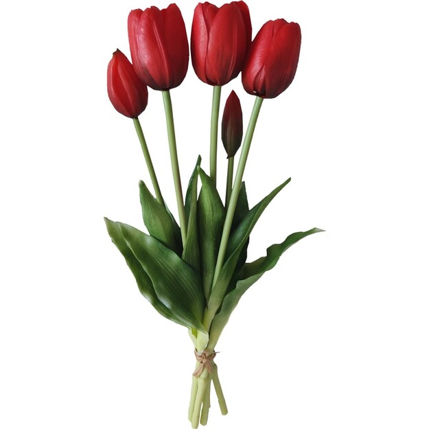 5 punase tulpiga kimp, 40 cm