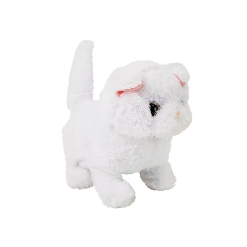 Interaktiivne kassipoeg, valge