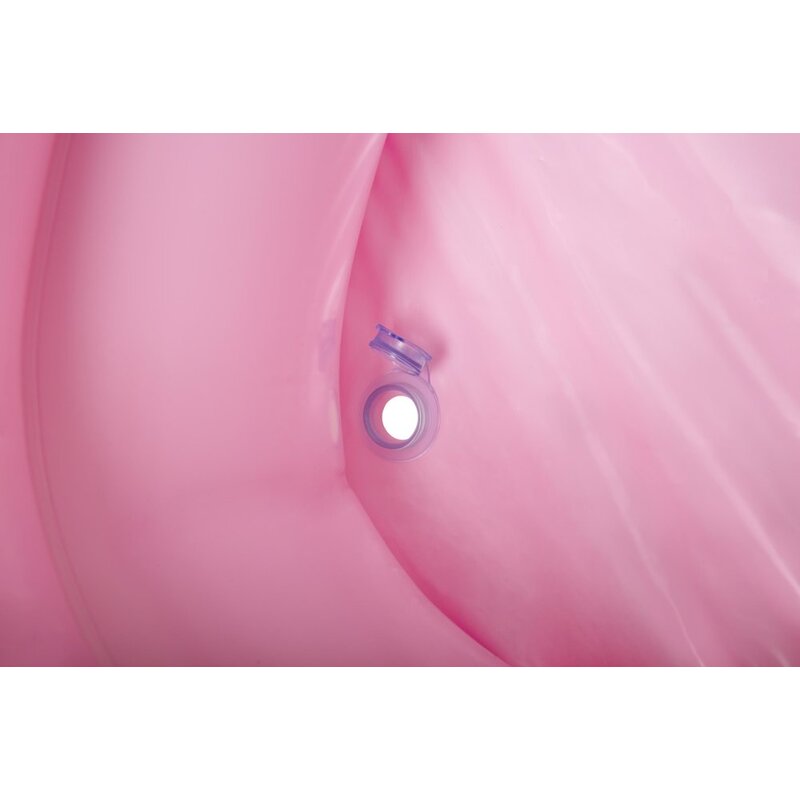 Täispuhutav bassein Bestway Disney, 200x146x48, roosa