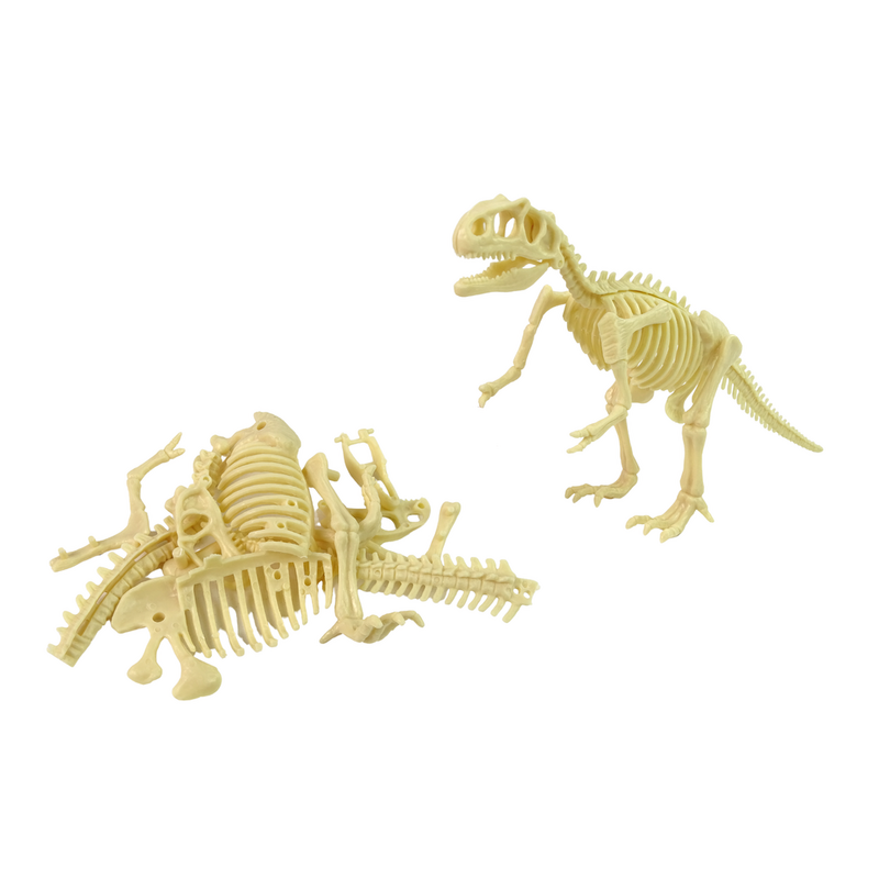Arheoloogiline kollektsioon - Dinosauruse skelett
